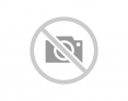 nera-db7ada123a5af19a715b7fbace1c5124.png